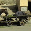 Wolfgang_Mocker