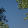Wolfgang_Mocker